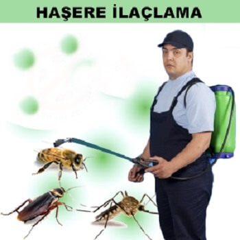 Şefaatli Böcek İlaçlama